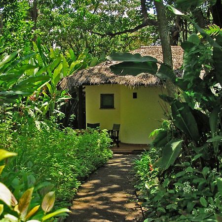 Moivaro Coffee Plantation Lodge Arusha Exterior foto