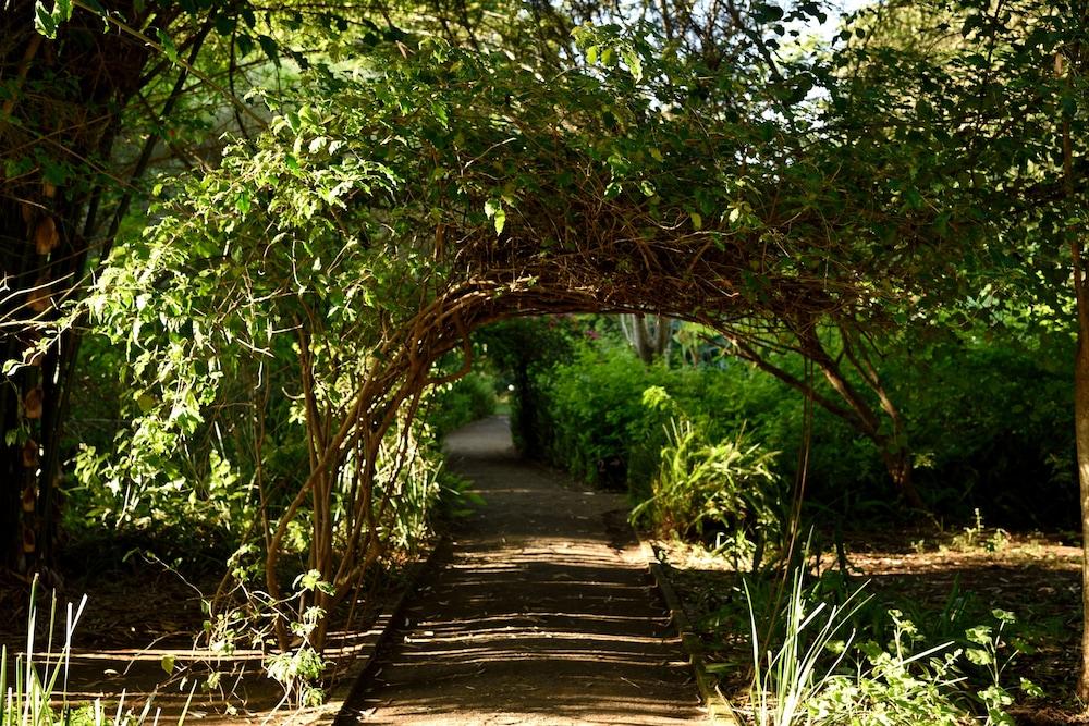 Moivaro Coffee Plantation Lodge Arusha Exterior foto